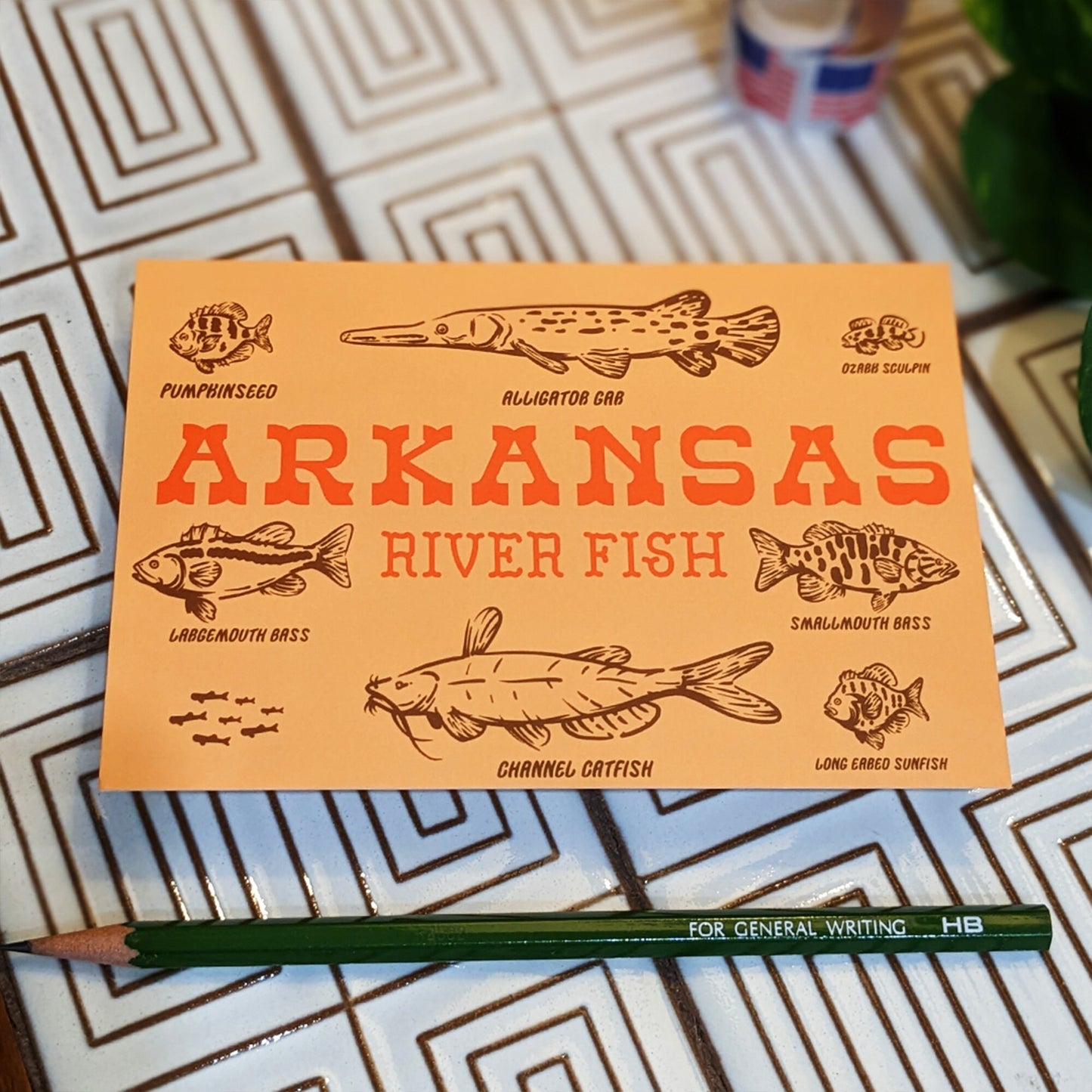 Illustrated Arkansas Post Card