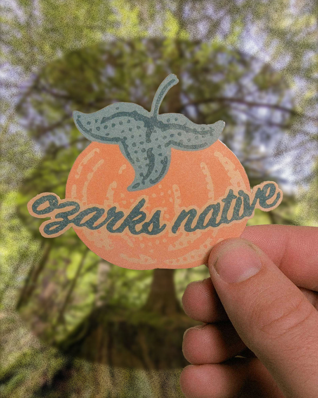 Flora & Fauna Sticker Pack 2