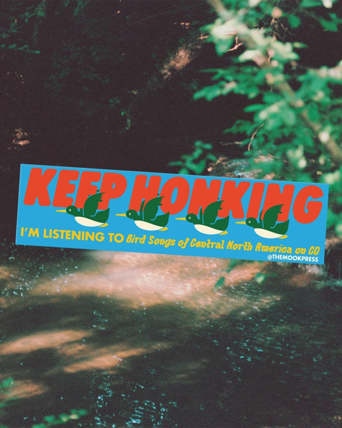 Keep Honking! Birdwatching Car Magnet